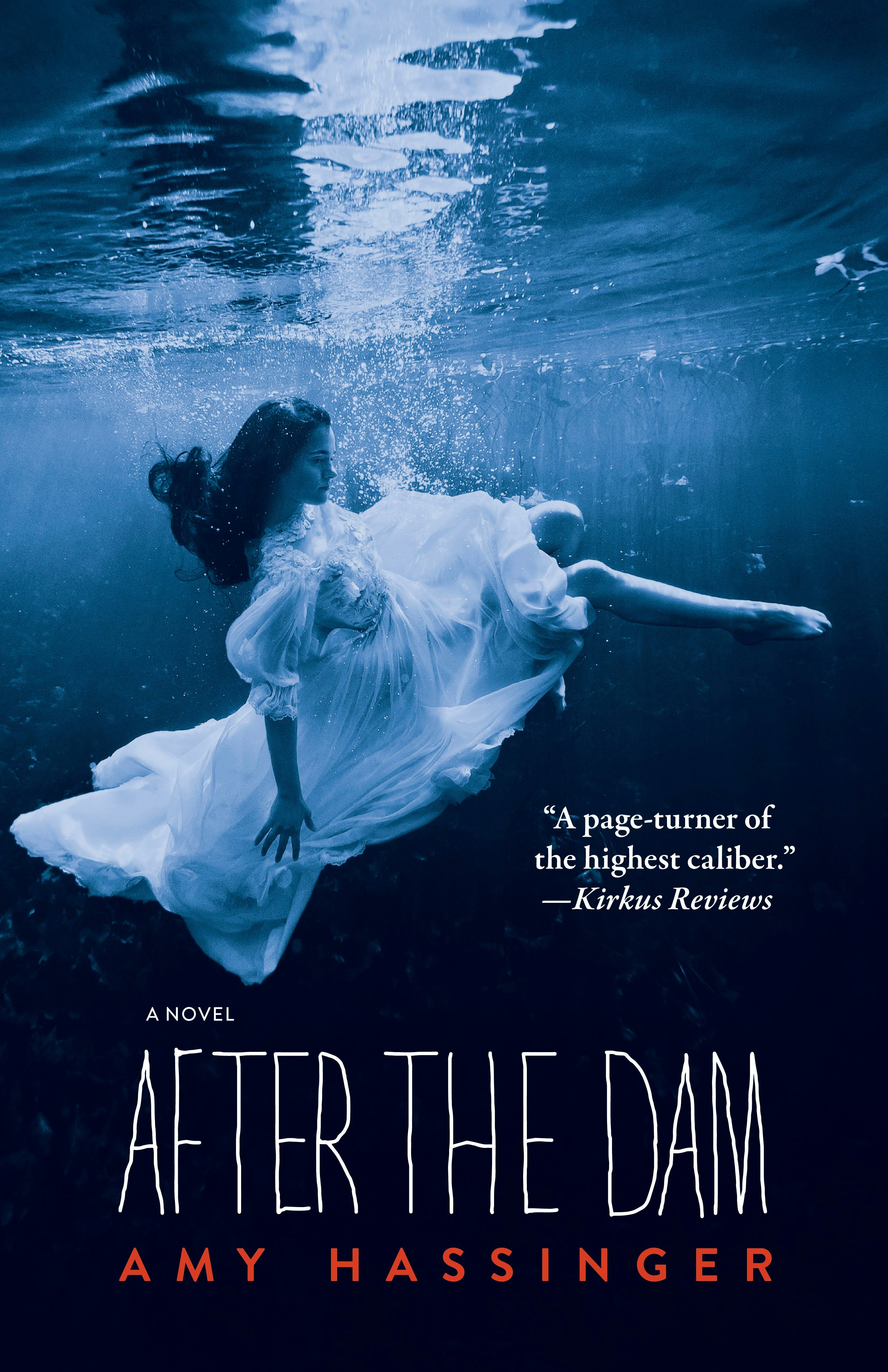 Book cover image for After the Dam ISBN: 9781597095013